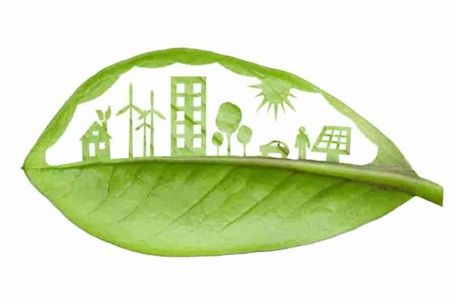 La importancia de la sostenibilidad en la industria de la construcción.