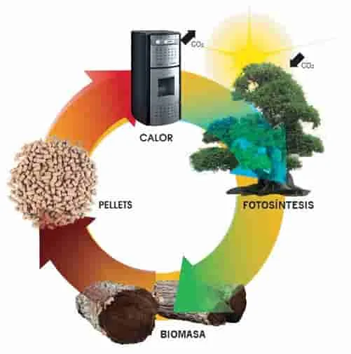 La revolución de la energía de biomasa y su contribución a la reducción de emisiones de carbono.
