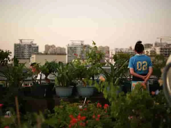 Los desafíos de la conservación de la biodiversidad en entornos urbanos y su importancia para la calidad de vida.